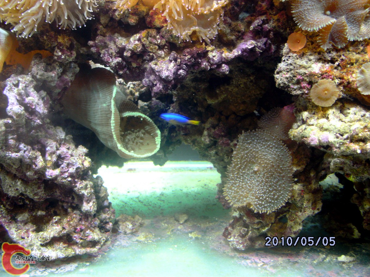 DSCK0343.jpg