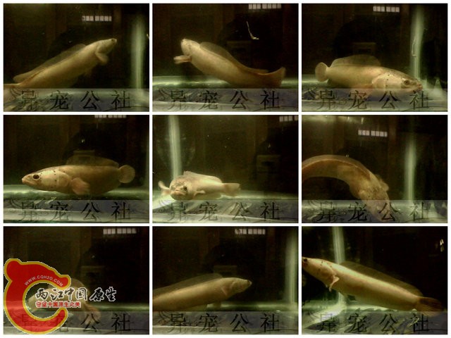 新建文件夹 (2)3.jpg