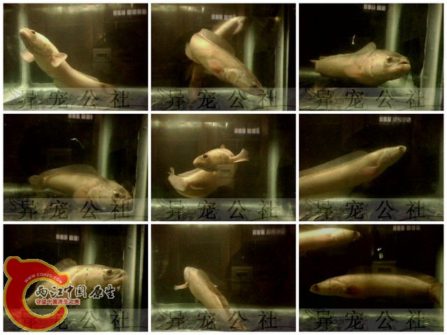 新建文件夹 (3)1.jpg