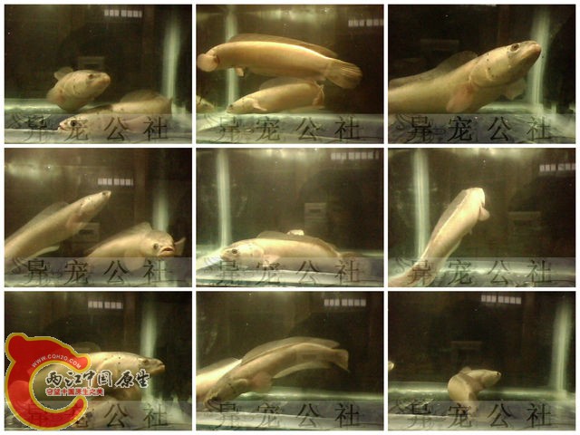 新建文件夹 (10)1.jpg