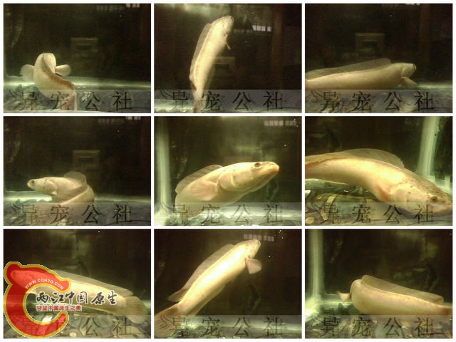 新建文件夹 (12)1.jpg