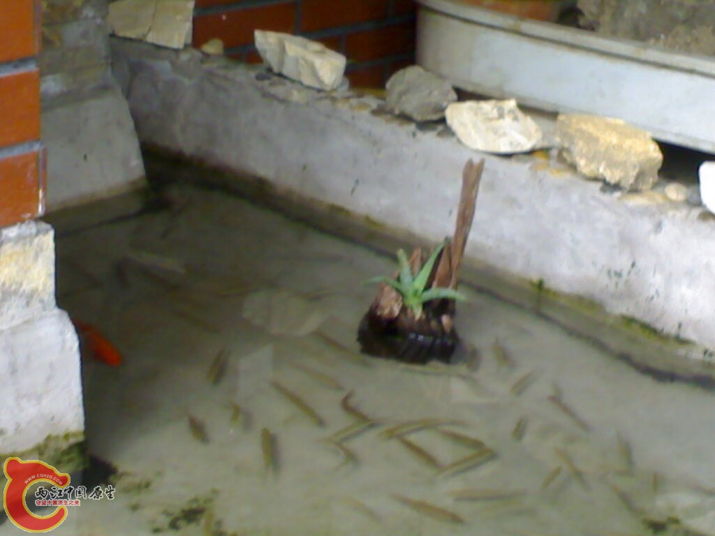 20100423043.jpg