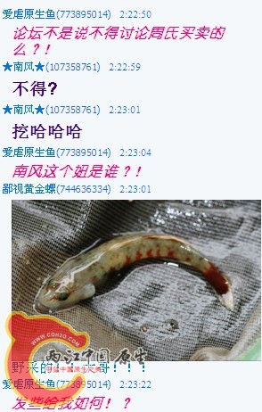 QQ截图未命名1.jpg