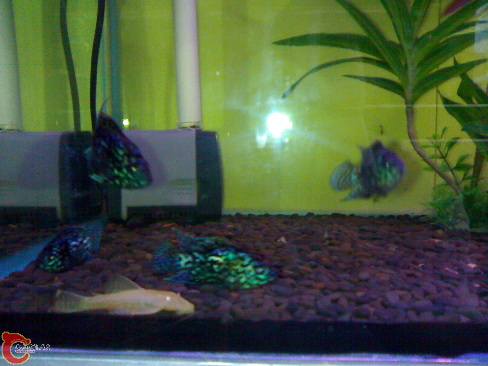 201005301292.jpg