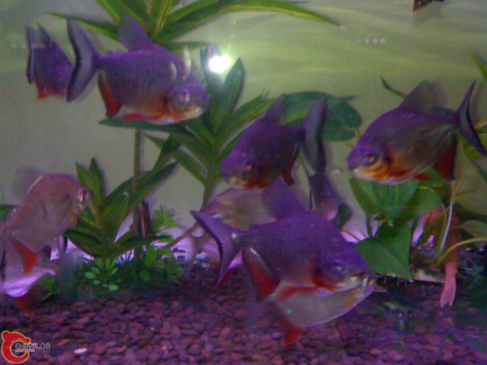 201005301289.jpg