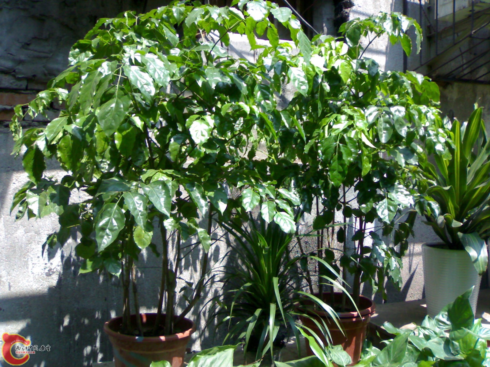 201005301288.jpg