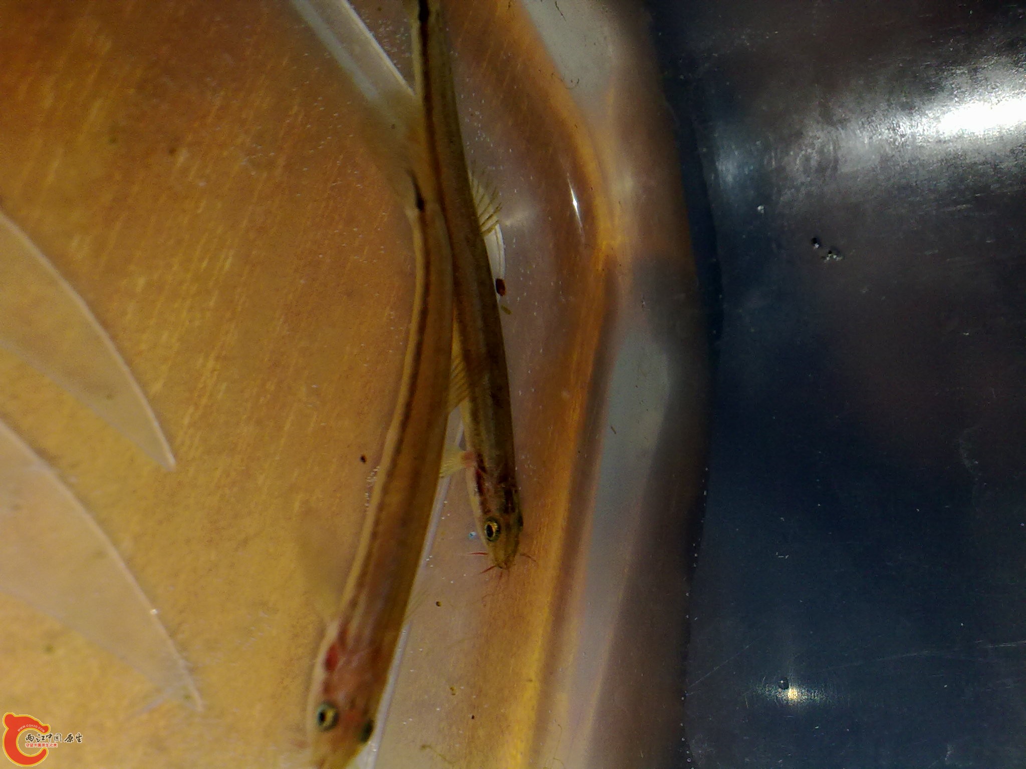 20100602325.jpg