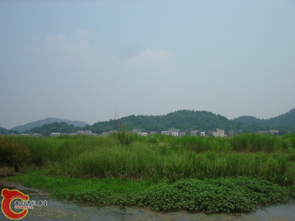DSC08907.jpg