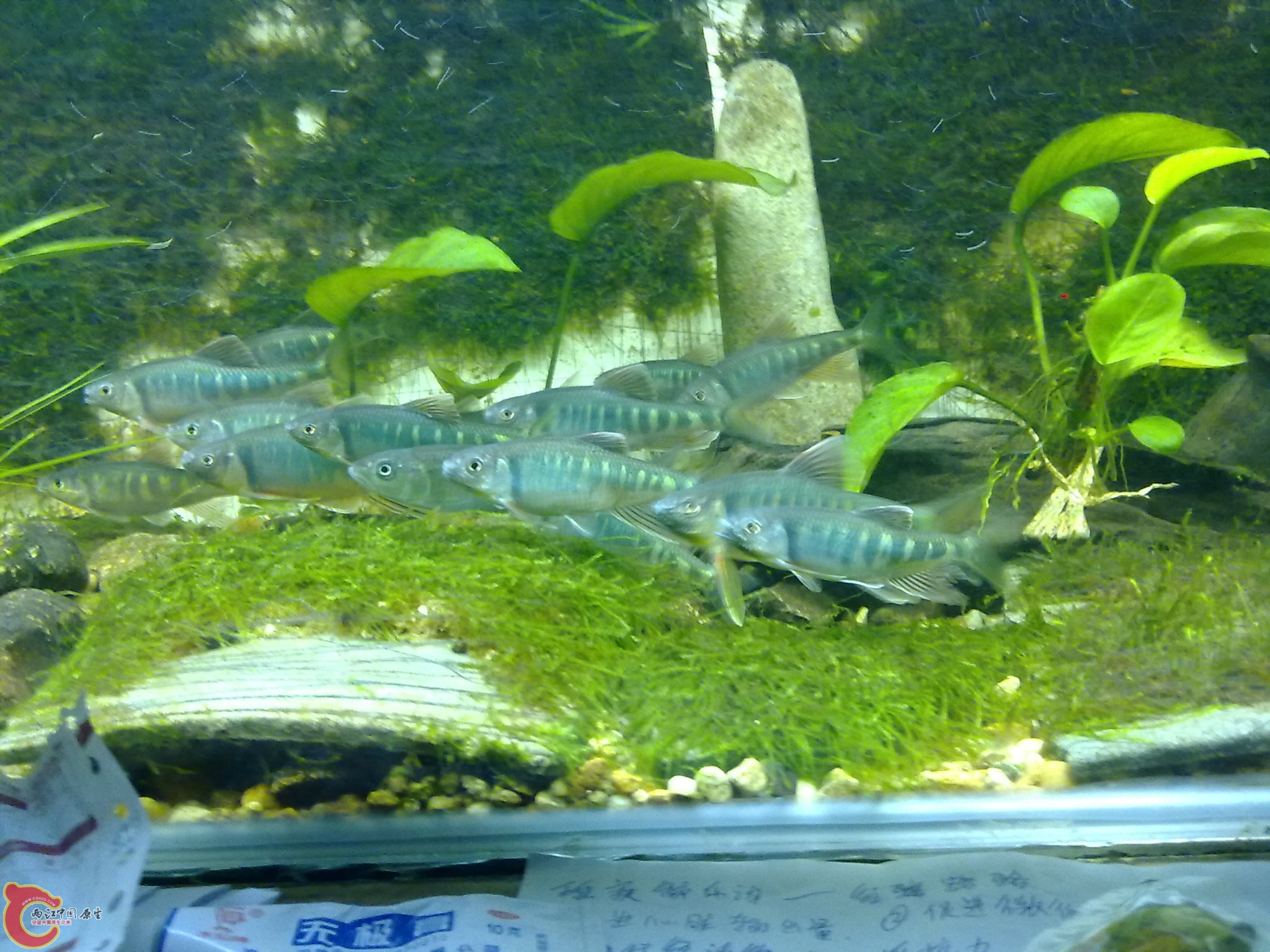 201006161065.jpg