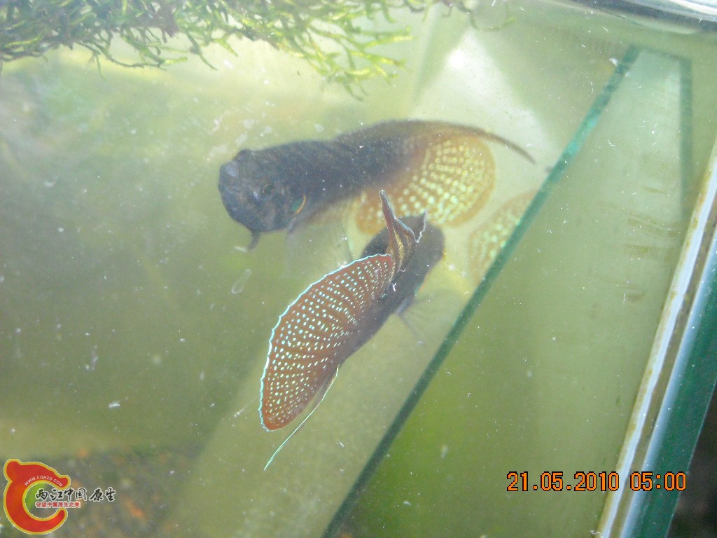 DSCN4157.jpg