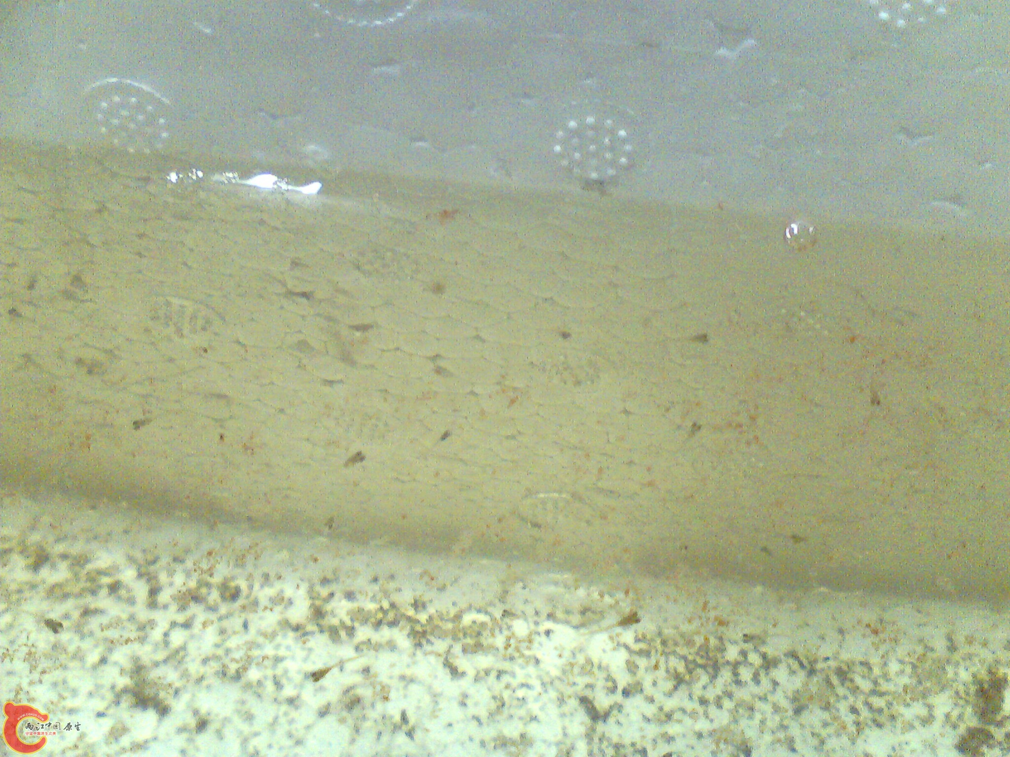 IMG1390A.jpg
