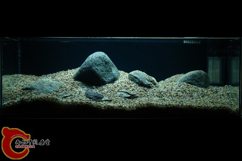 Moje akva maj 2010-1.jpg