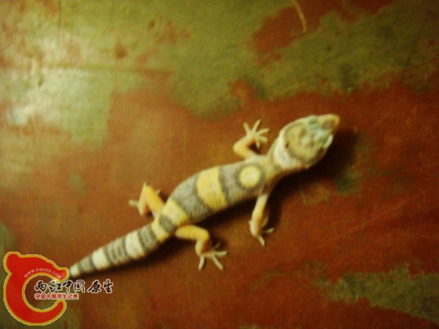 DSC07205.JPG
