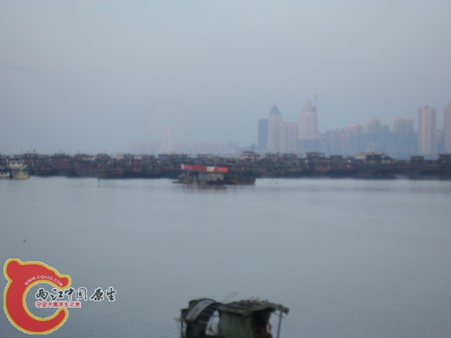 DSC07122.JPG