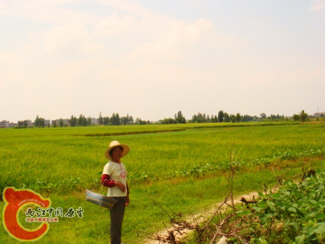 DSC07326.JPG