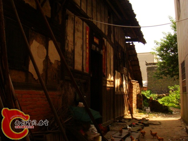 DSC07343.JPG