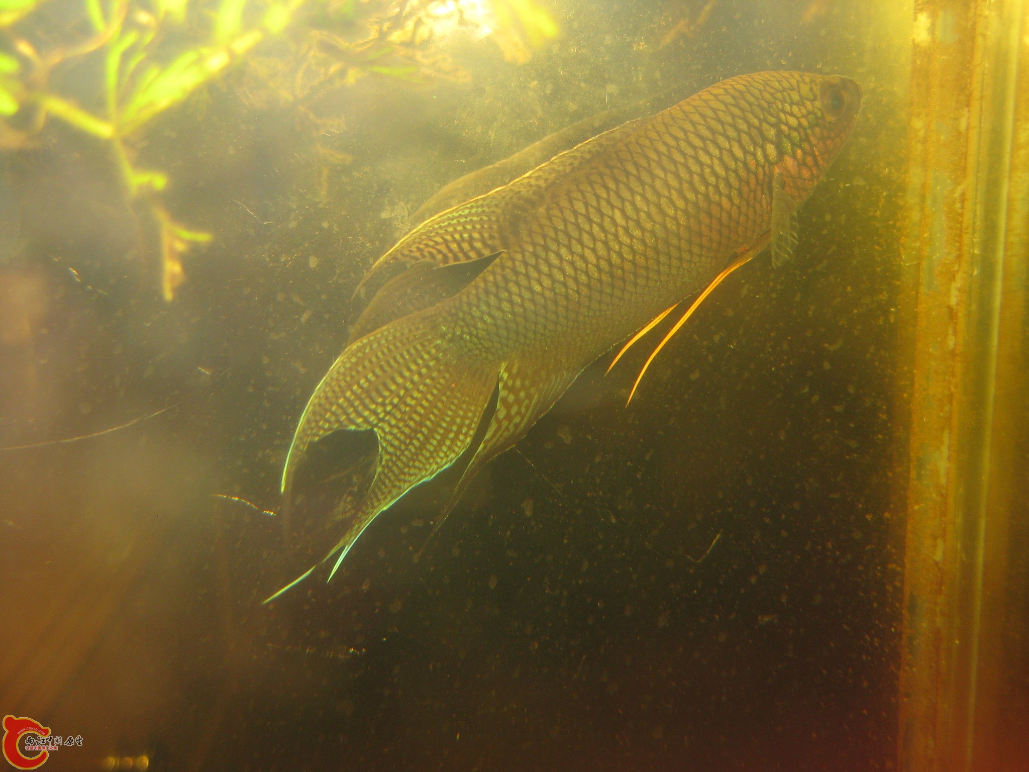 IMG_2894.JPG