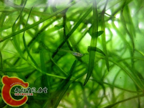 IMG_3418.jpg