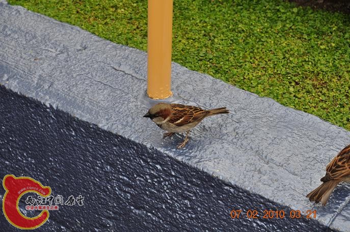 DSC_1530.JPG