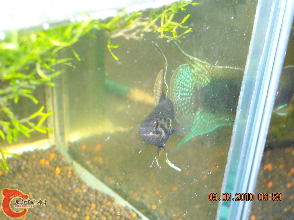 DSCN4336.JPG