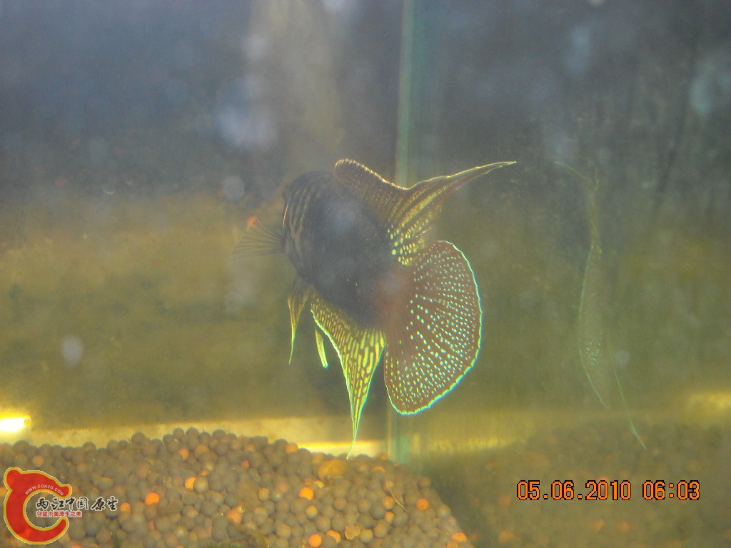 DSCN4361.JPG