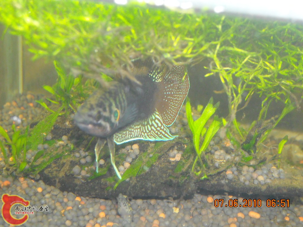 DSCN4414.JPG