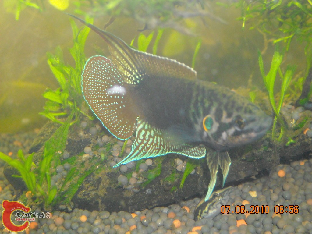 DSCN4424.JPG