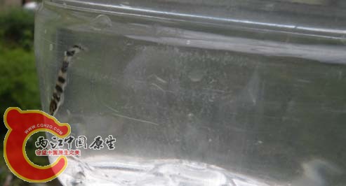 DSCN9360.JPG