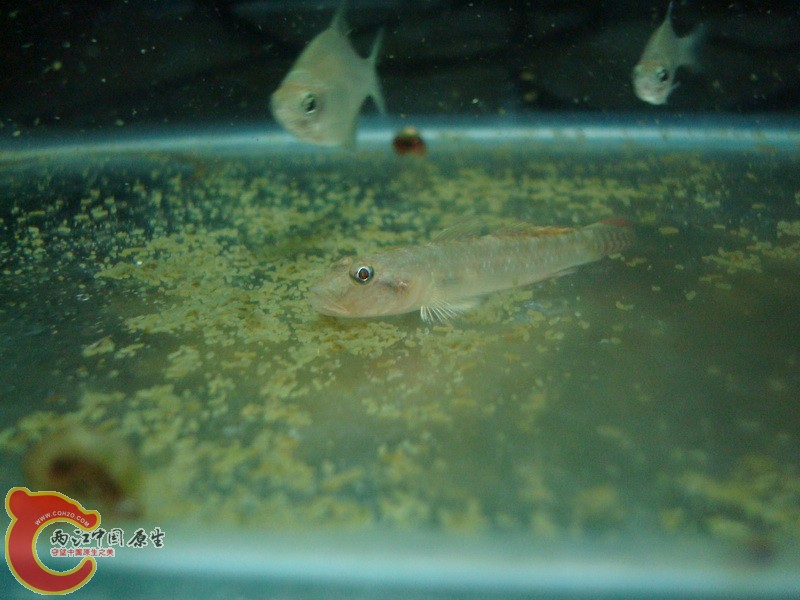 DSC05397_调整大小.JPG