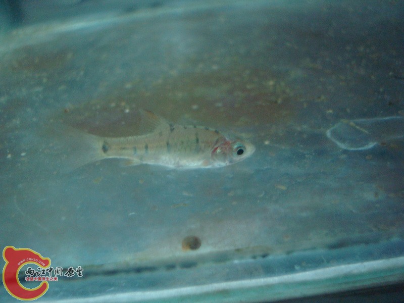 DSC05404_调整大小.JPG