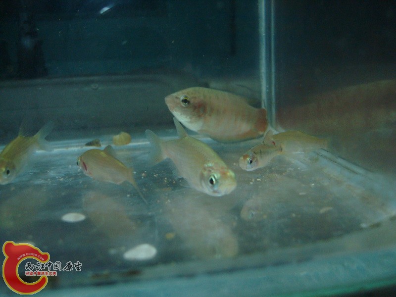 DSC05386_调整大小.JPG