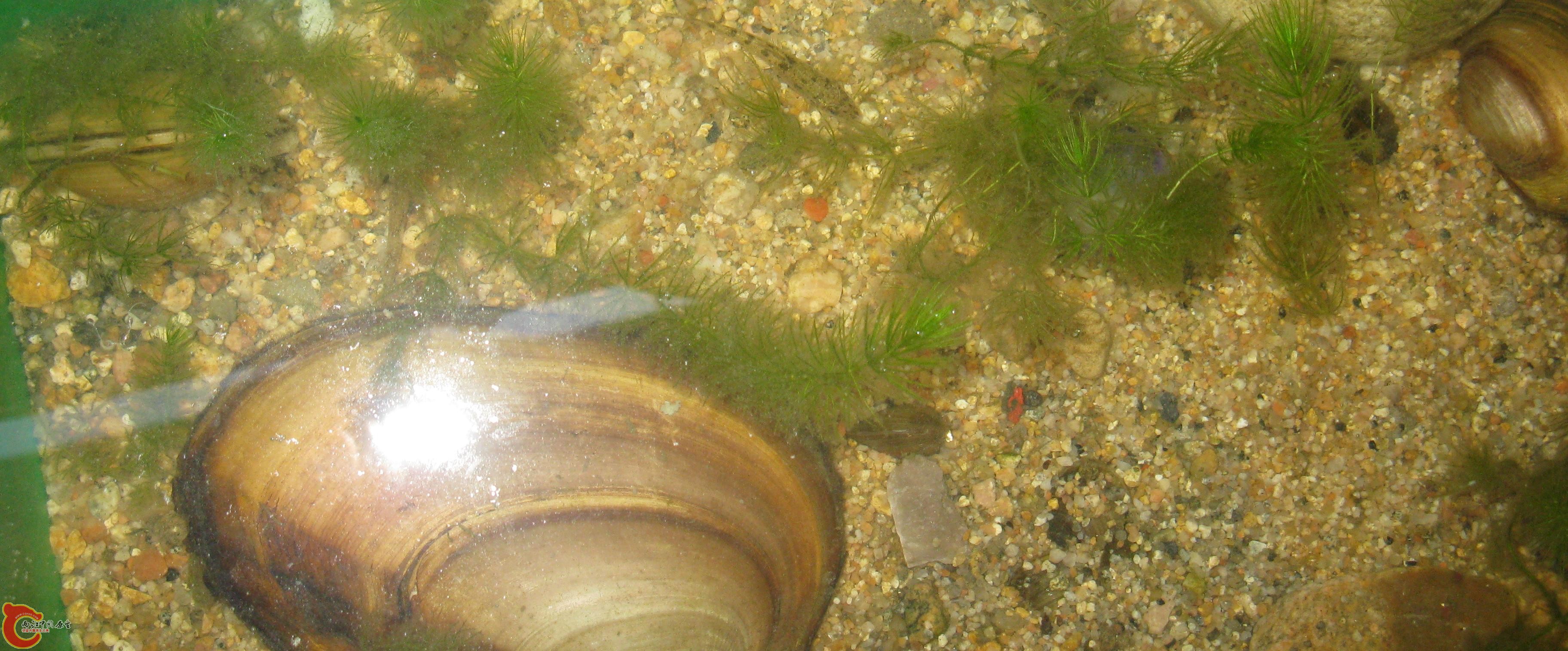 新建 BMP 图像.JPG