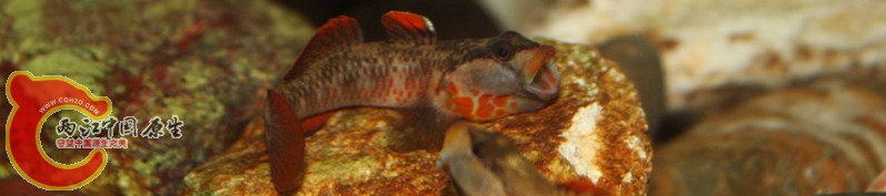 2010-07-14.jpg
