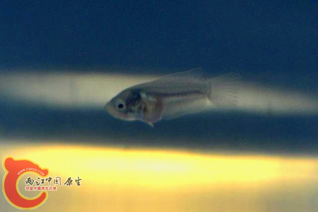 CSC_1344.JPG