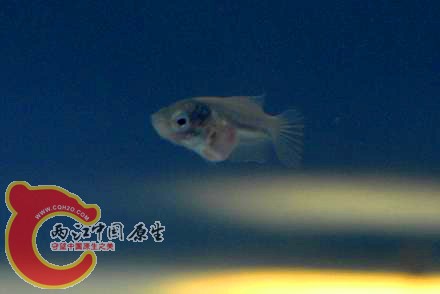 CSC_1342.JPG
