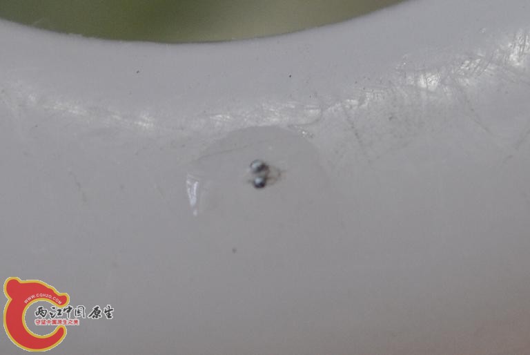 CSC_1355.JPG