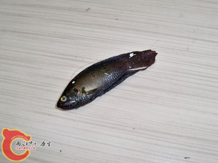 100_0436.JPG