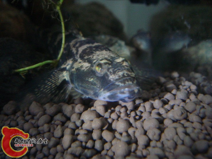 DSC02030_缩小大小_缩小大小.JPG