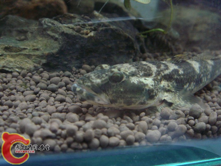 DSC01979_缩小大小_缩小大小.JPG