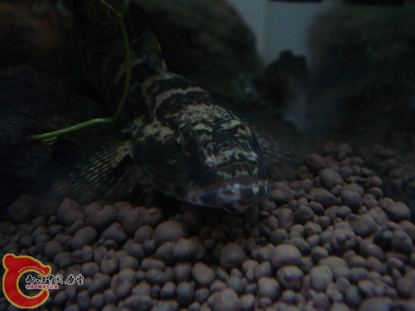 DSC02029_缩小大小.JPG