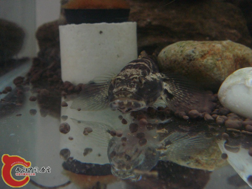 DSC02020_缩小大小.JPG