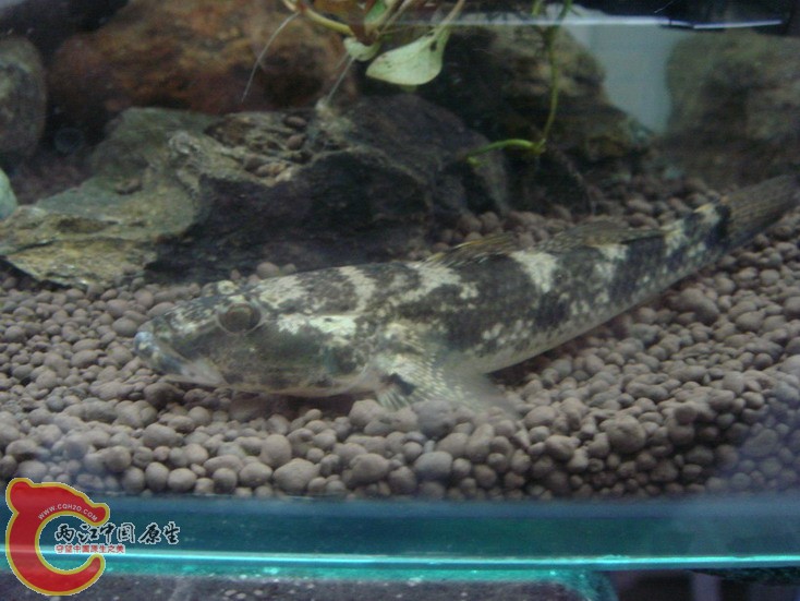 DSC01980_缩小大小_缩小大小.JPG