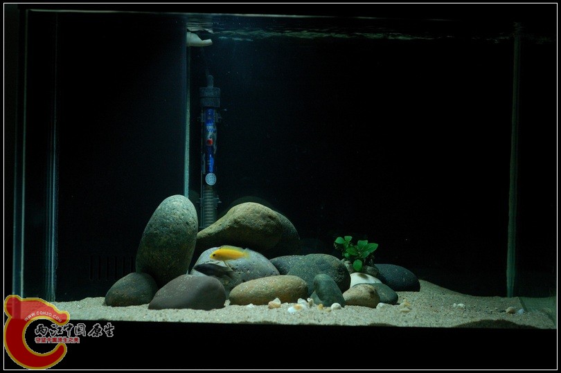 DSC_6201.jpg