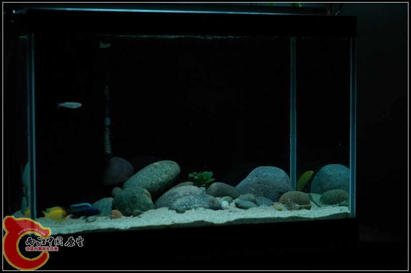 DSC_7970.jpg