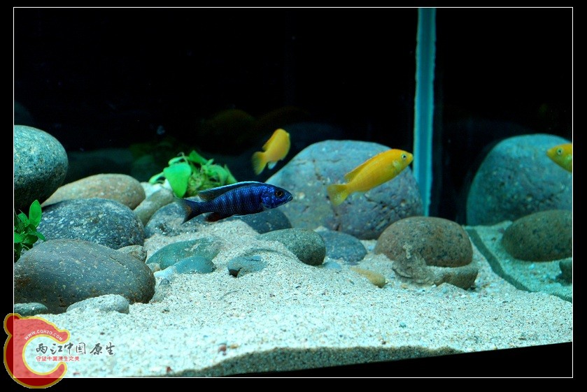 DSC_8254.jpg