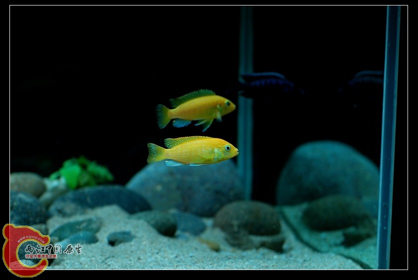 DSC_8266.jpg