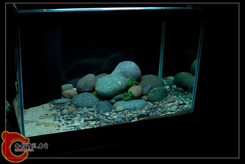 DSC_8970.jpg
