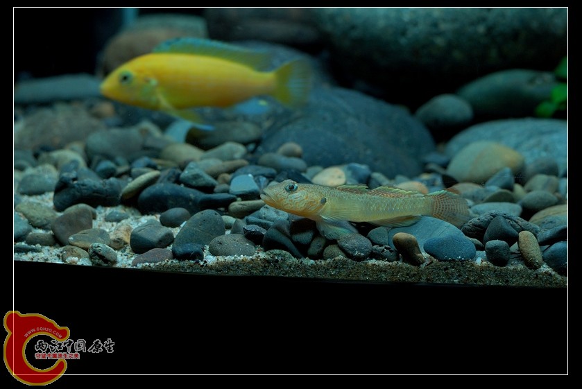 DSC_8976.jpg