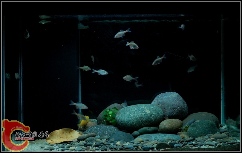 DSC_9103.jpg
