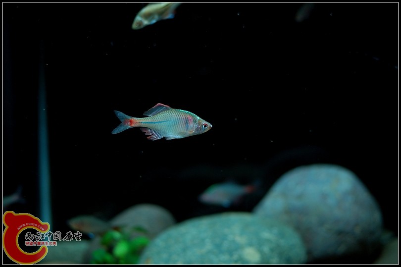 DSC_9107.jpg